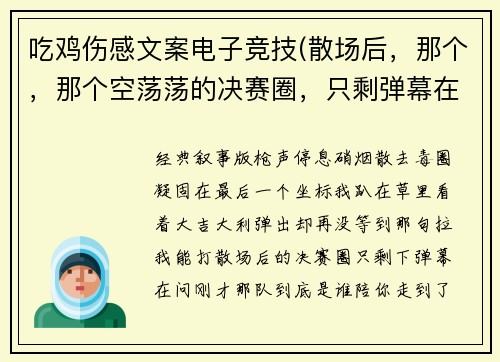 吃鸡伤感文案电子竞技(散场后，那个，那个空荡荡的决赛圈，只剩弹幕在问谁陪我走到最后)